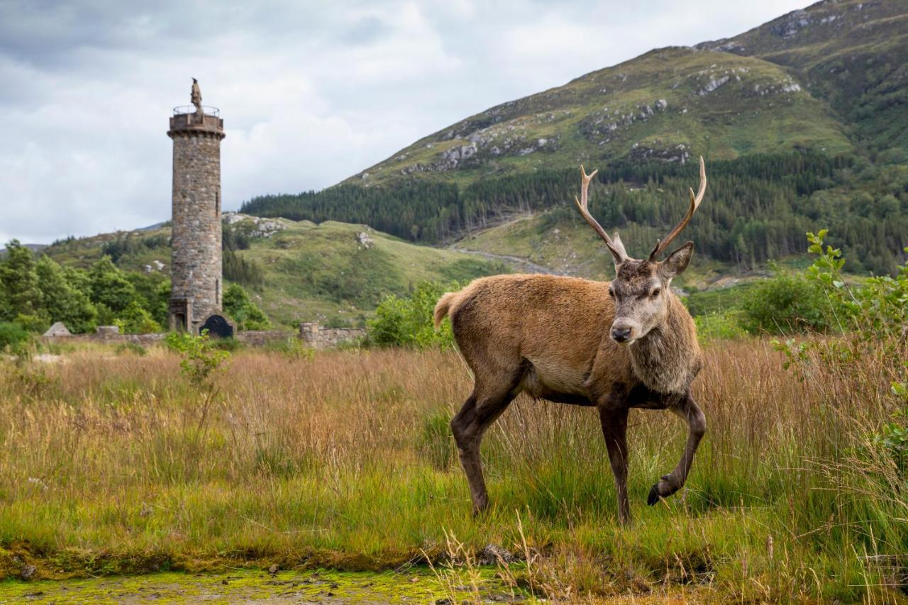 Apartmán Highland Club Direct Fort Augustus Exteriér fotografie